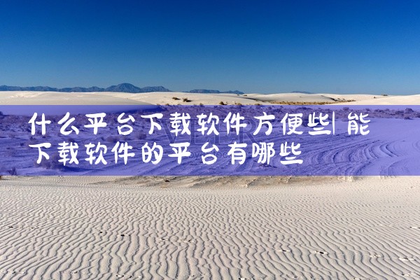 什么平台下载软件方便些